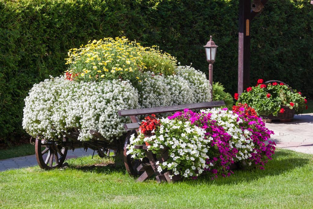 Vila Aleksandra Zlatibor Ngoại thất bức ảnh